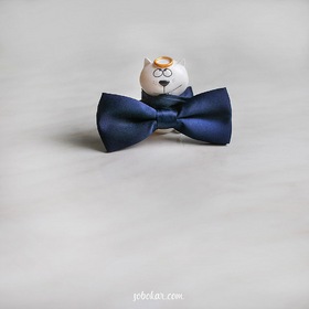 Funny bow tie