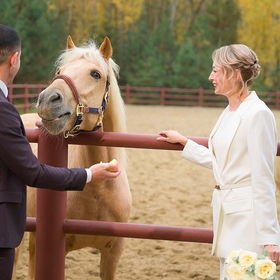 New wedding photo. Everyone is posing smiling...